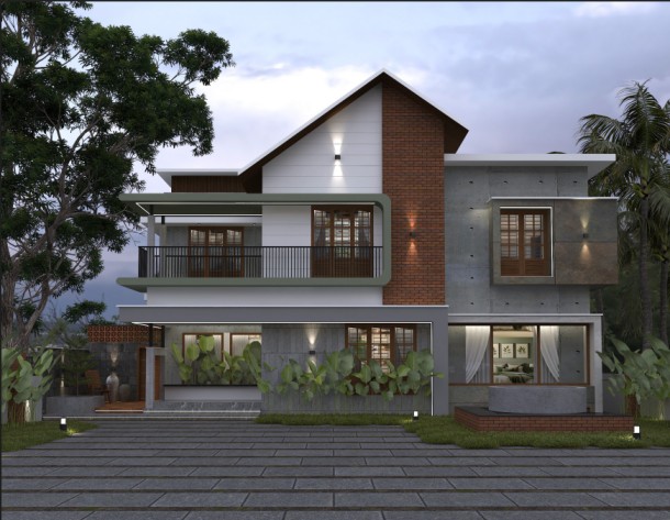 Kerala Style Elevation